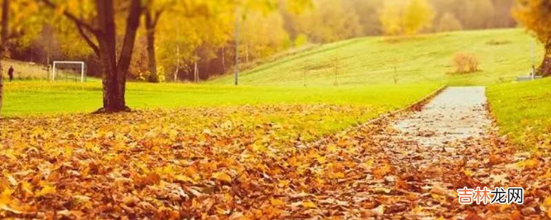 如果你种下的是什么秋天收获的是什么?