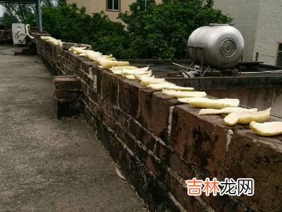 白萝卜怎么晒成萝卜干?