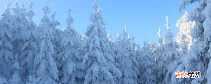 阵雪大还是小雪大?