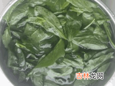 菠菜怎样榨汁?