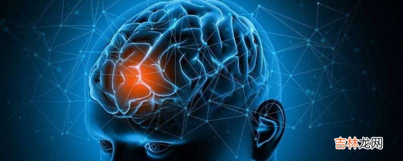 人體的控制中心是什麽?