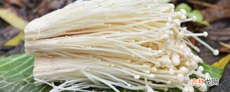 细长的蘑菇叫什么?