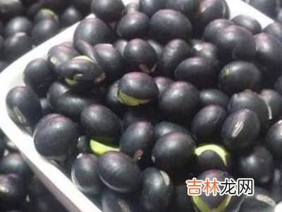 三豆汤是哪三豆?