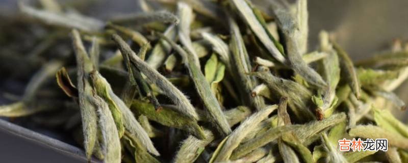 白茶香味是什么味?