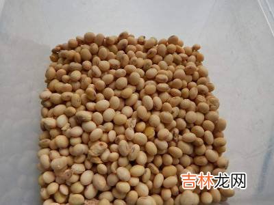 农村冬天捂臭豆子是怎样捂的?