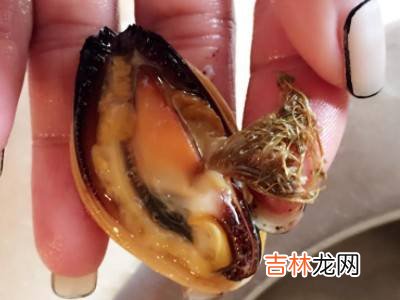 贻貝怎麽清洗?