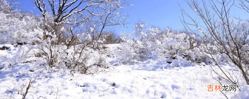 下雪要达到几度?