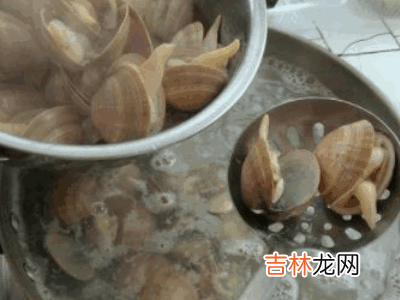 蚬子肉怎么清洗?