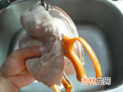 猪肚怎么切?