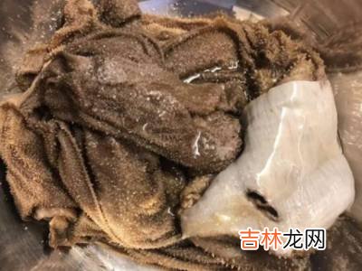 新鲜牛百叶怎么处理吃起来脆?