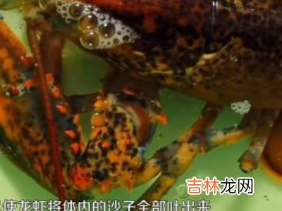 波士顿龙虾保存方法?
