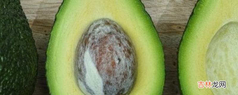 avocado是牛油果还是鳄梨?