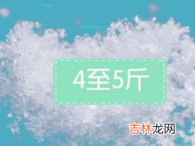 波龙如何存放?