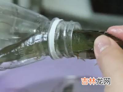 小白虾怎么保存才新鲜?