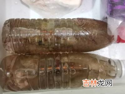 小白虾怎么保存才新鲜?