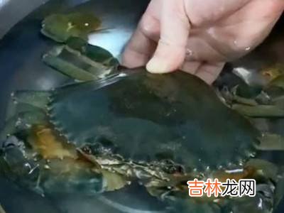 活螃蟹如何保存一周?