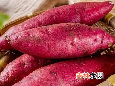 蜜薯怎么保存时间长?