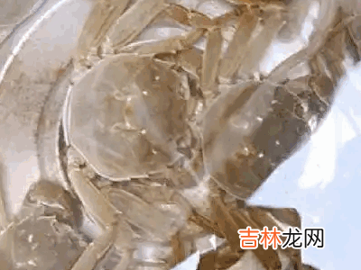 螃蟹怎么解冻?