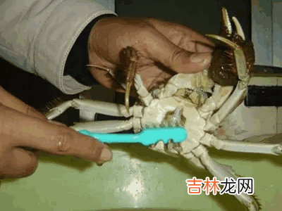 螃蟹怎么解冻?