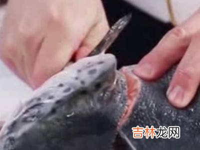 鱼肉泥怎样去除鱼刺?