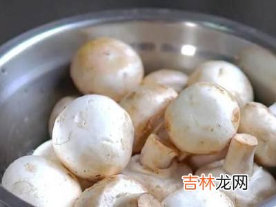 口蘑如何保存?