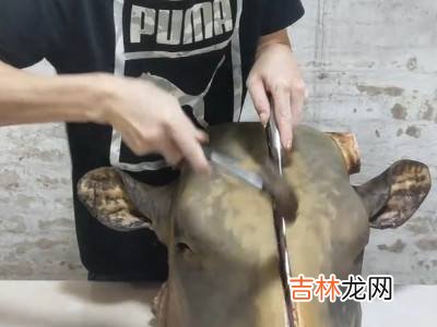 生牛头怎么劈开简单的方法?
