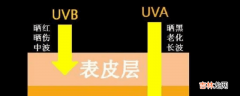 uva指的是什么?