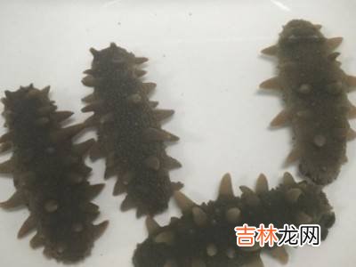 海参如何清洗?