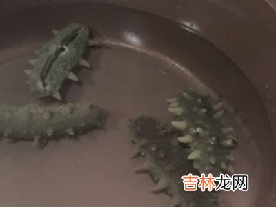 海参如何清洗?