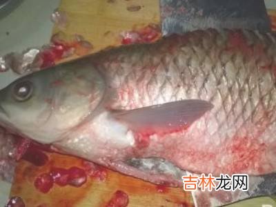 青鱼怎么处理干净?