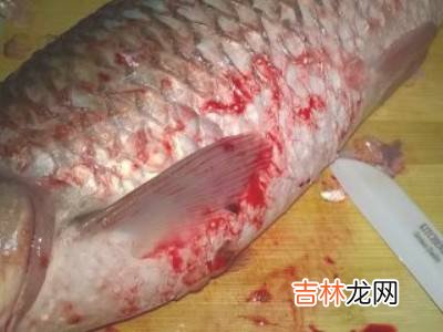 青鱼怎么处理干净?