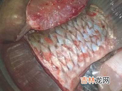 青鱼怎么处理干净?