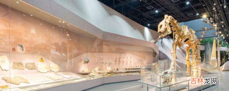 陕西历史博物馆有哪些展厅?