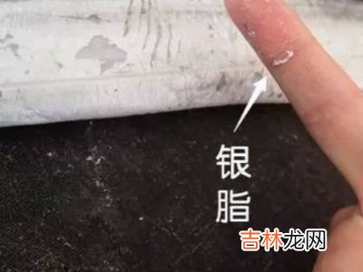 怎么杀带鱼?
