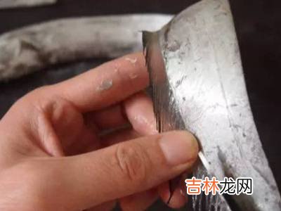 怎么杀带鱼?