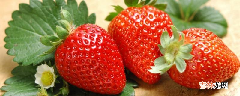 零下草莓放车里会冻坏吗?