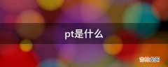 pt是什么?