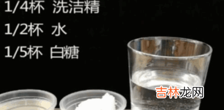 肥皂泡泡水的制作方法?