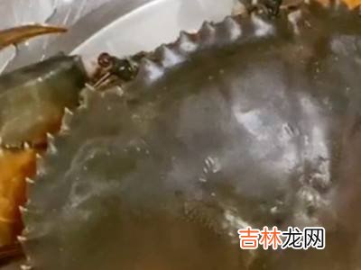 冬季大闸蟹怎么保鲜存活?