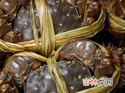 冬季大闸蟹怎么保鲜存活?