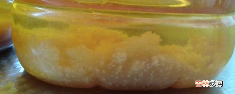 花生油底部的白色沉淀物是什么?