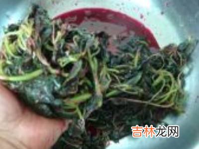 自制红色食用色素?