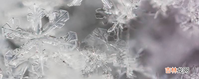 雪花有8个花瓣吗?