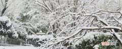 下雪前冷还是下雪后冷?