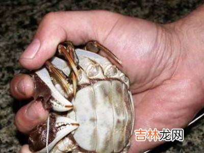 怎么捆大闸蟹教程?