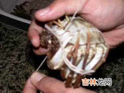 怎么捆大闸蟹教程?