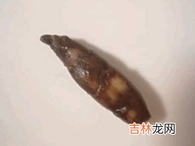 地溜子的腌制方法?