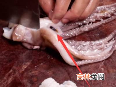 鱿鱼须怎么切?