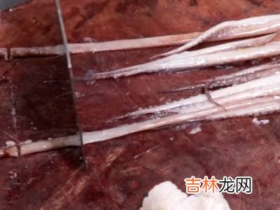 鱿鱼须怎么切?