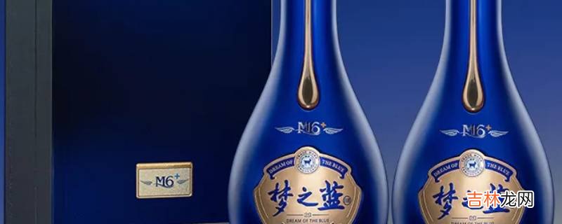 梦六和梦六加的区别?
